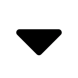Caret Down Icon