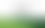 Bloomwell Header 06