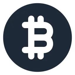 Bitcoin Circle Solid Icon
