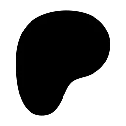 Brand Patreon Icon