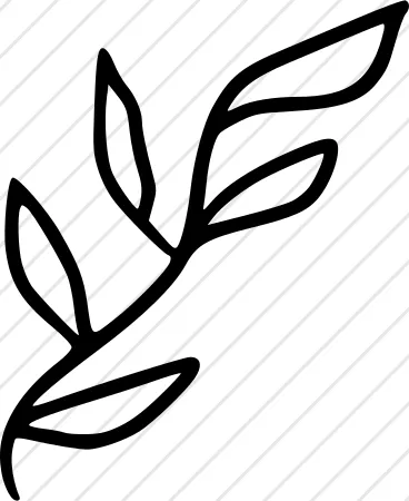 Plant Stem