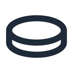 Coin Line Icon