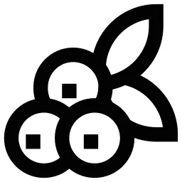 Berries Organic Leaf Icon