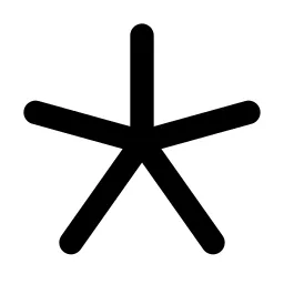 Asterisk Simple Line Icon