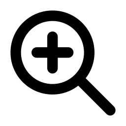 Zoom In Line Icon