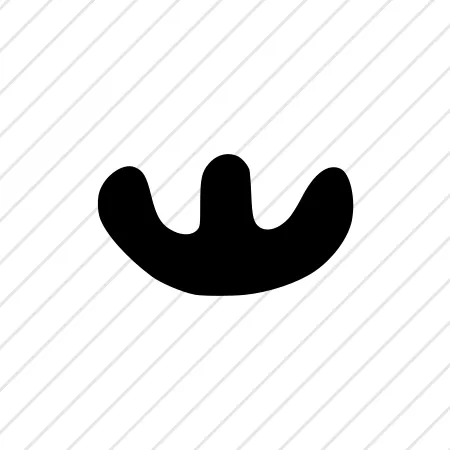 Shape 64