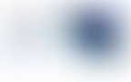 Sera Header 07