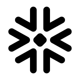 Brand Snowflake Line Icon