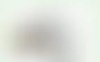 Blog 15