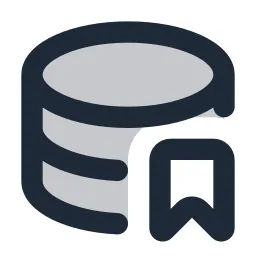 Data Bookmark Duotone Icon