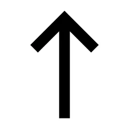 Arrow Up Long Line Icon
