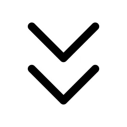 Fast Arrow Down Icon