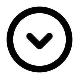 Circle Chevron Down Line Icon