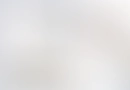 Two website layouts showcasing construction, real estate, and project management services with diverse images and text.