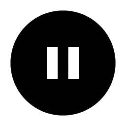 Pause Circle Fill Icon
