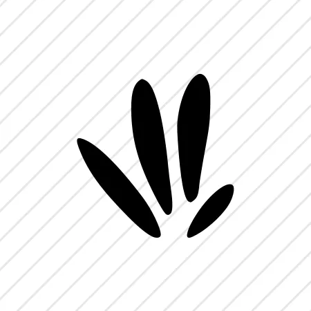 Shape 59