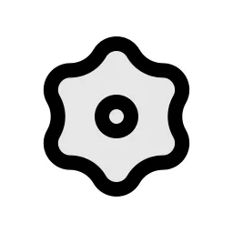 Settings 2 Duo Icon