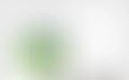 Bloomwell Blog 05