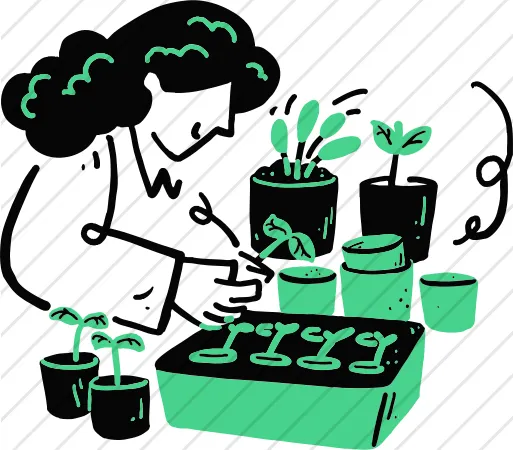 Seedlings