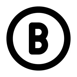 Circle Letter B Line Icon