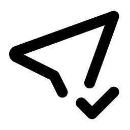 Location Check Line Icon