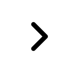 Arrow Chevron Right Duo Icon