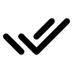 Checks Line Icon
