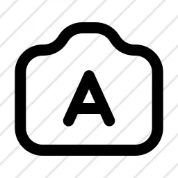 Camera Auto Icon