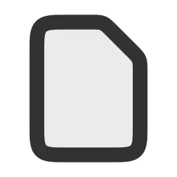 Document Duotone Icon