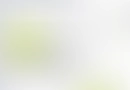 A modern Flinta blog page design featuring articles on customer support, data analytics, and AI, with lime green accents.