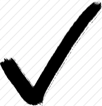Check 13