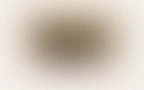 Video 07