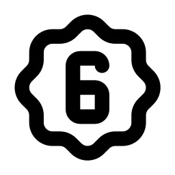 Rosette Number 6 Line Icon