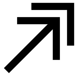 Double Arrow Up Right Icon