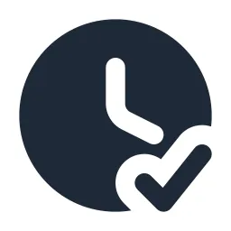 Clock Check Solid Icon