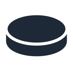 Coin Solid Icon
