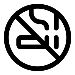 No Smoking Circle Icon
