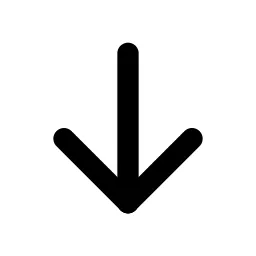 Arrow Down Line Icon
