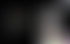 Header 08