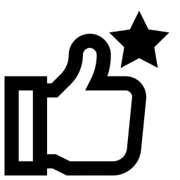 Thumbs Up Like Star Icon