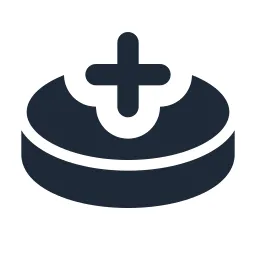 Coin Plus Solid Icon