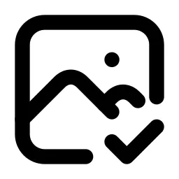 Photo Check Line Icon