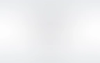 Zen Integration 01