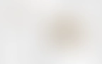 Antik Blog Article 02