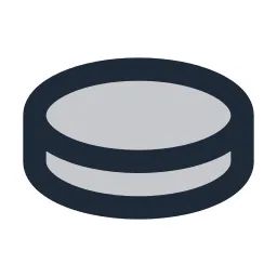 Coin Duotone Icon