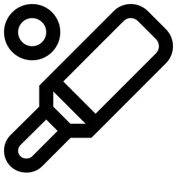 Bat Ball Icon