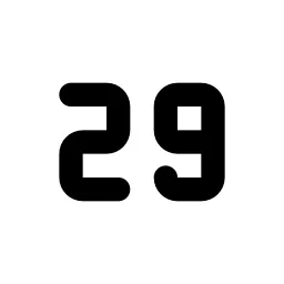 Number 29 Small Line Icon