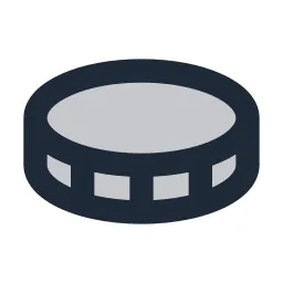 Coin 2 Duotone Icon