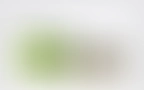 Cycle Blog 01