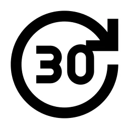 Forward 30 Line Icon